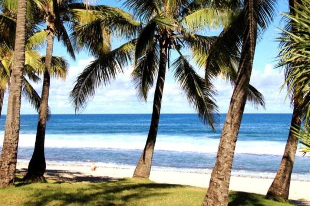 Maison De Vacances, Decouvrir Le Sud De La Reunion เปอตี อีเลอ ภายนอก รูปภาพ