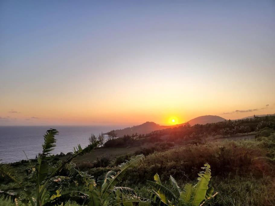 Maison De Vacances, Decouvrir Le Sud De La Reunion เปอตี อีเลอ ภายนอก รูปภาพ